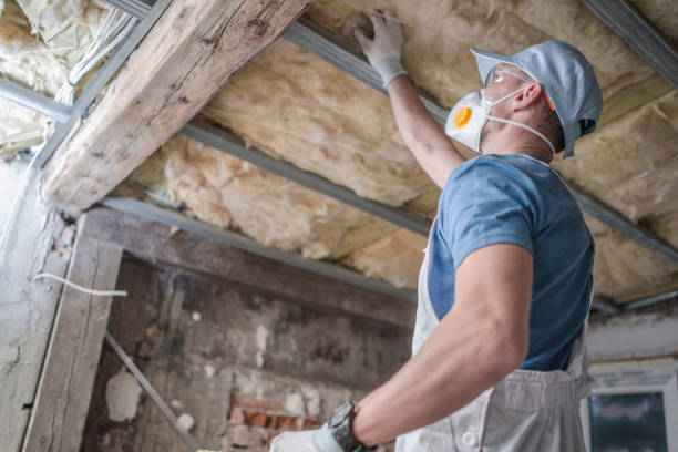 Best DIY Insulation Kits and Guidance in Garden City, NY